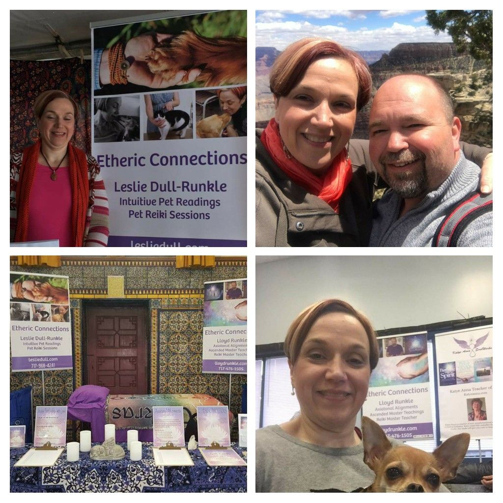 Spirit of Oneness Expo, 2017